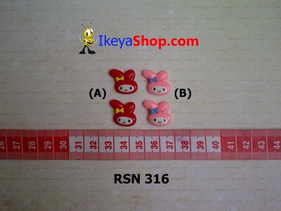 rsn 316  large2
